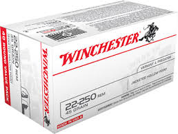 Winchester USA .22-250 45 GrainJHP 40RD